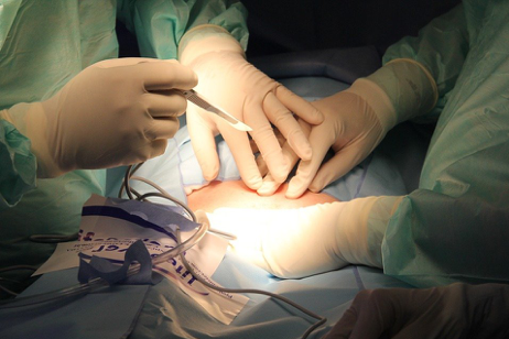 What Procedures do Urologists Perform to Male Genitalia?