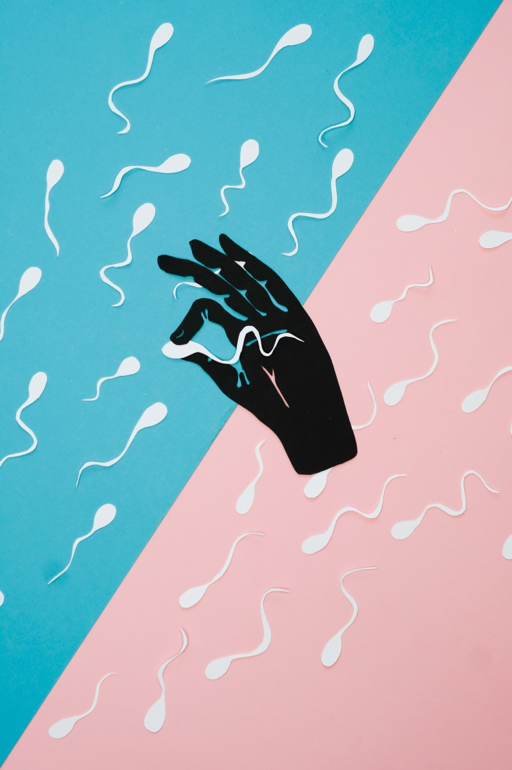 How Is Sperm Produced?
