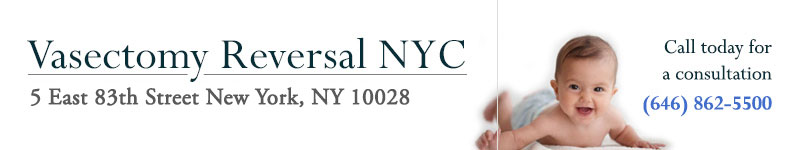 Top Vasectomy Reversal Doctor NYC